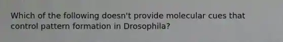 Which of the following doesn't provide molecular cues that control pattern formation in Drosophila?