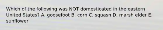 Which of the following was NOT domesticated in the eastern United States? A. goosefoot B. corn C. squash D. marsh elder E. sunflower