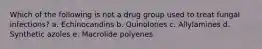 Which of the following is not a drug group used to treat fungal infections? a. Echinocandins b. Quinolones c. Allylamines d. Synthetic azoles e. Macrolide polyenes