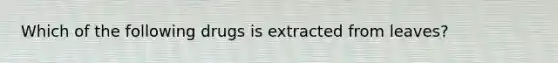 Which of the following drugs is extracted from leaves?