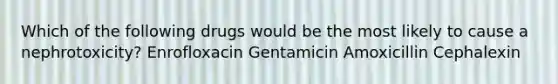Which of the following drugs would be the most likely to cause a nephrotoxicity? Enrofloxacin Gentamicin Amoxicillin Cephalexin