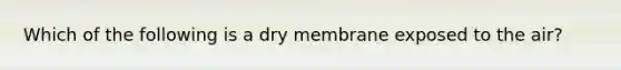 Which of the following is a dry membrane exposed to the air?