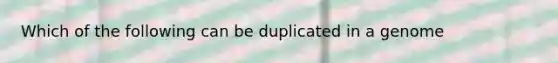 Which of the following can be duplicated in a genome