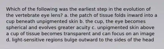 Which of the following was the earliest step in the evolution of the vertebrate eye lens? a. the patch of tissue folds inward into a cup beneath unpigmented skin b. the cup, the eye becomes spherical and evolves greater acuity c. unpigmented skin above a cup of tissue becomes transparent and can focus on an image d. light-sensitive regions bulge outward to the sides of the head