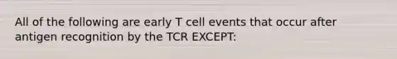 All of the following are early T cell events that occur after antigen recognition by the TCR EXCEPT: