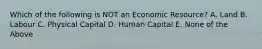 Which of the following is NOT an Economic Resource? A. Land B. Labour C. Physical Capital D. Human Capital E. None of the Above