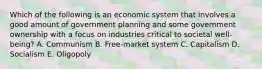 Which of the following is an economic system that involves a good amount of government planning and some government ownership with a focus on industries critical to societal well-being? A. Communism B. Free-market system C. Capitalism D. Socialism E. Oligopoly