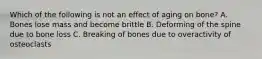 Which of the following is not an effect of aging on bone? A. Bones lose mass and become brittle B. Deforming of the spine due to bone loss C. Breaking of bones due to overactivity of osteoclasts