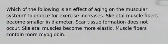 Which of the following is an effect of aging on the muscular system? Tolerance for exercise increases. Skeletal muscle fibers become smaller in diameter. Scar tissue formation does not occur. Skeletal muscles become more elastic. Muscle fibers contain more myoglobin.