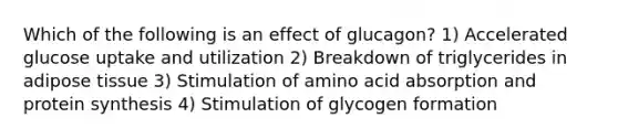 Which of the following is an effect of glucagon? 1) Accelerated glucose uptake and utilization 2) Breakdown of triglycerides in adipose tissue 3) Stimulation of amino acid absorption and protein synthesis 4) Stimulation of glycogen formation