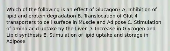 Which of the following is an effect of Glucagon? A. Inhibition of lipid and protein degradation B. Translocation of Glut 4 transporters to cell surface in Muscle and Adipose C. Stimulation of amino acid uptake by the Liver D. Increase in Glycogen and Lipid synthesis E. Stimulation of lipid uptake and storage in Adipose