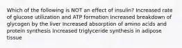 Which of the following is NOT an effect of insulin? Increased rate of glucose utilization and ATP formation Increased breakdown of glycogen by the liver Increased absorption of amino acids and protein synthesis Increased triglyceride synthesis in adipose tissue