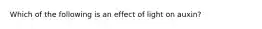 Which of the following is an effect of light on auxin?