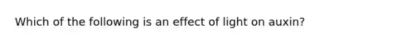 Which of the following is an effect of light on auxin?