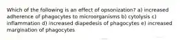 Which of the following is an effect of opsonization? a) increased adherence of phagocytes to microorganisms b) cytolysis c) inflammation d) increased diapedesis of phagocytes e) increased margination of phagocytes