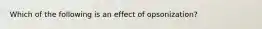 Which of the following is an effect of opsonization?