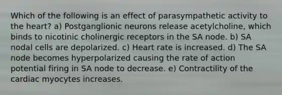 Which of the following is an effect of parasympathetic activity to the heart? a) Postganglionic neurons release acetylcholine, which binds to nicotinic cholinergic receptors in the SA node. b) SA nodal cells are depolarized. c) Heart rate is increased. d) The SA node becomes hyperpolarized causing the rate of action potential firing in SA node to decrease. e) Contractility of the cardiac myocytes increases.