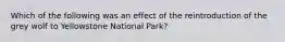 Which of the following was an effect of the reintroduction of the grey wolf to Yellowstone National Park?