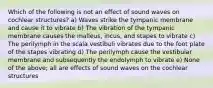 Which of the following is not an effect of sound waves on cochlear structures? a) Waves strike the tympanic membrane and cause it to vibrate b) The vibration of the tympanic membrane causes the malleus, incus, and stapes to vibrate c) The perilymph in the scala vestibuli vibrates due to the foot plate of the stapes vibrating d) The perilymph cause the vestibular membrane and subsequently the endolymph to vibrate e) None of the above; all are effects of sound waves on the cochlear structures