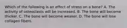 Which of the following is an effect of stress on a bone? A. The activity of osteoclasts will be increased. B. The bone will become thicker. C. The bone will become weaker. D. The bone will lose collagen fibers.