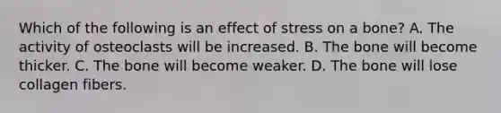 Which of the following is an effect of stress on a bone? A. The activity of osteoclasts will be increased. B. The bone will become thicker. C. The bone will become weaker. D. The bone will lose collagen fibers.