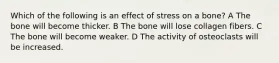 Which of the following is an effect of stress on a bone? A The bone will become thicker. B The bone will lose collagen fibers. C The bone will become weaker. D The activity of osteoclasts will be increased.