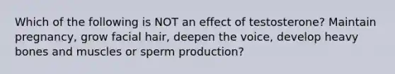 Which of the following is NOT an effect of testosterone? Maintain pregnancy, grow facial hair, deepen the voice, develop heavy bones and muscles or sperm production?