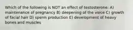 Which of the following is NOT an effect of testosterone: A) maintenance of pregnancy B) deepening of the voice C) growth of facial hair D) sperm production E) development of heavy bones and muscles