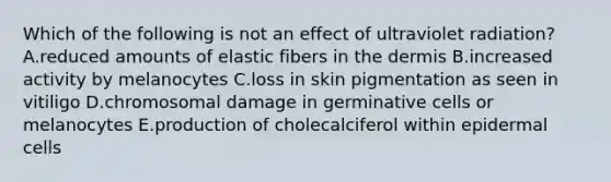 Which of the following is not an effect of ultraviolet radiation? A.reduced amounts of elastic fibers in the dermis B.increased activity by melanocytes C.loss in skin pigmentation as seen in vitiligo D.chromosomal damage in germinative cells or melanocytes E.production of cholecalciferol within epidermal cells