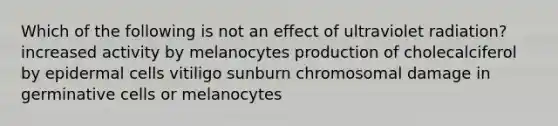 Which of the following is not an effect of ultraviolet radiation? increased activity by melanocytes production of cholecalciferol by epidermal cells vitiligo sunburn chromosomal damage in germinative cells or melanocytes