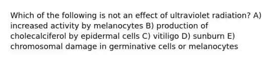 Which of the following is not an effect of ultraviolet radiation? A) increased activity by melanocytes B) production of cholecalciferol by epidermal cells C) vitiligo D) sunburn E) chromosomal damage in germinative cells or melanocytes