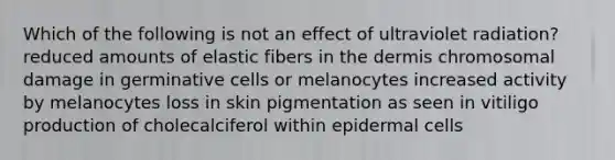 Which of the following is not an effect of ultraviolet radiation? reduced amounts of elastic fibers in the dermis chromosomal damage in germinative cells or melanocytes increased activity by melanocytes loss in skin pigmentation as seen in vitiligo production of cholecalciferol within epidermal cells