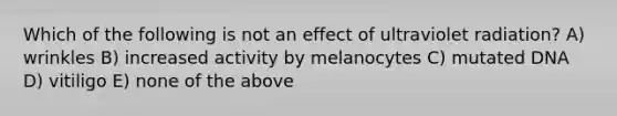 Which of the following is not an effect of ultraviolet radiation? A) wrinkles B) increased activity by melanocytes C) mutated DNA D) vitiligo E) none of the above