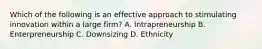 Which of the following is an effective approach to stimulating innovation within a large firm? A. Intrapreneurship B. Enterpreneurship C. Downsizing D. Ethnicity