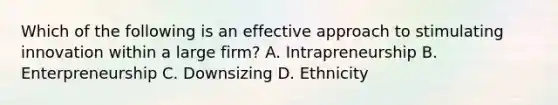 Which of the following is an effective approach to stimulating innovation within a large firm? A. Intrapreneurship B. Enterpreneurship C. Downsizing D. Ethnicity