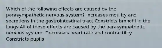 Which of the following effects are caused by the parasympathetic nervous system? Increases motility and secretions in the gastrointestinal tract Constricts bronchi in the lungs All of these effects are caused by the parasympathetic nervous system. Decreases heart rate and contractility Constricts pupils