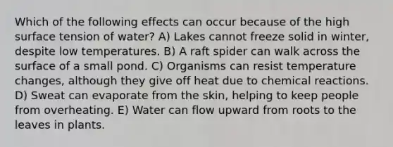 Which of the following effects can occur because of the high surface tension of water? A) Lakes cannot freeze solid in winter, despite low temperatures. B) A raft spider can walk across the surface of a small pond. C) Organisms can resist temperature changes, although they give off heat due to chemical reactions. D) Sweat can evaporate from the skin, helping to keep people from overheating. E) Water can flow upward from roots to the leaves in plants.