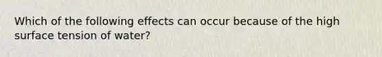 Which of the following effects can occur because of the high surface tension of water?