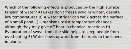 Which of the following effects is produced by the high surface tension of water? A) Lakes don't freeze solid in winter, despite low temperatures B) A water strider can walk across the surface of a small pond C) Organisms resist temperature changes, although they may give off heat in chemical reactions D) Evaporation of sweat from the skin helps to keep people from overheating E) Water flows upward from the roots to the leaves in plants