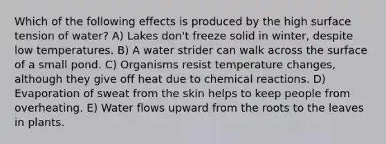 Which of the following effects is produced by the high surface tension of water? A) Lakes don't freeze solid in winter, despite low temperatures. B) A water strider can walk across the surface of a small pond. C) Organisms resist temperature changes, although they give off heat due to chemical reactions. D) Evaporation of sweat from the skin helps to keep people from overheating. E) Water flows upward from the roots to the leaves in plants.