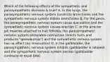 Which of the following effects of the sympathetic and parasympathetic divisions is true? A. In the lungs, the parasympathetic nervous system constricts bronchioles and the sympathetic nervous system dilates bronchioles B. For the penis, the parasympathetic nervous system cause ejaculation and the sympathetic nervous system causes erection C. In the arrector pili muscles attached to hair follicles, the parasympathetic nervous system stimulates contraction (erects hairs and produces "goosebumps") and the sympathetic nervous system has no effect (no innervation) D. In the gallbladder, the parasympathetic nervous system inhibits (gallbladder is relaxed) and the sympathetic nervous system excites (gallbladder contracts to expel bite)