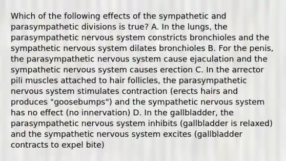 Which of the following effects of the sympathetic and parasympathetic divisions is true? A. In the lungs, the parasympathetic nervous system constricts bronchioles and the sympathetic nervous system dilates bronchioles B. For the penis, the parasympathetic nervous system cause ejaculation and the sympathetic nervous system causes erection C. In the arrector pili muscles attached to hair follicles, the parasympathetic nervous system stimulates contraction (erects hairs and produces "goosebumps") and the sympathetic nervous system has no effect (no innervation) D. In the gallbladder, the parasympathetic nervous system inhibits (gallbladder is relaxed) and the sympathetic nervous system excites (gallbladder contracts to expel bite)