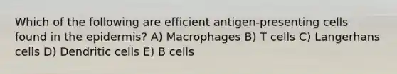 Which of the following are efficient antigen-presenting cells found in the epidermis? A) Macrophages B) T cells C) Langerhans cells D) Dendritic cells E) B cells