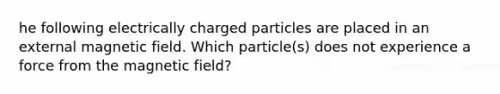 he following electrically charged particles are placed in an external magnetic field. Which particle(s) does not experience a force from the magnetic field?