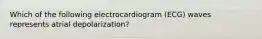 Which of the following electrocardiogram (ECG) waves represents atrial depolarization?