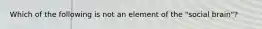 Which of the following is not an element of the "social brain"?