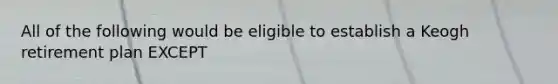 All of the following would be eligible to establish a Keogh retirement plan EXCEPT