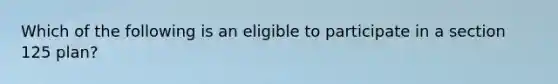 Which of the following is an eligible to participate in a section 125 plan?