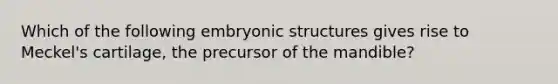 Which of the following embryonic structures gives rise to Meckel's cartilage, the precursor of the mandible?