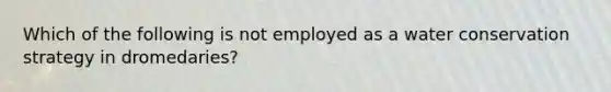 Which of the following is not employed as a water conservation strategy in dromedaries?